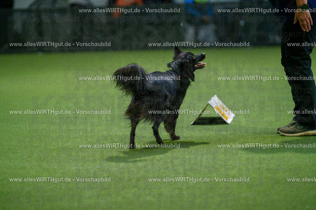 7R509987 | Professionelle Tierfotografie in Mönchengladbach von Daniel Wirth (allesWIRTHgut). Liebevolle & natürliche Bilder von Hunden & Katzen für unvergessliche Erinnerungen.