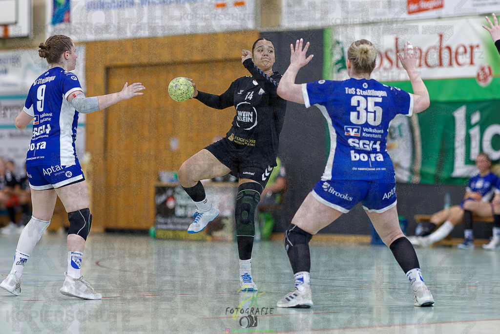 Quali-Turnier JBL wJA; DJK SF Budenheim - TuS Steißlingen | Quali-Turnier JBL wJA; DJK SF Budenheim - TuS Steißlingen am 31.05.2025 in Oberkleen (Weidig-Halle)Photo © 2025 - Jörg Heinrich - Realisiert mit Pictrs.com