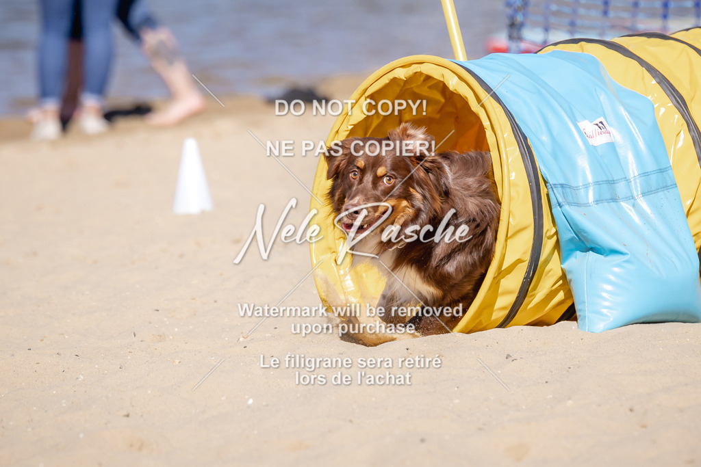 NR__0716 | nelerasche