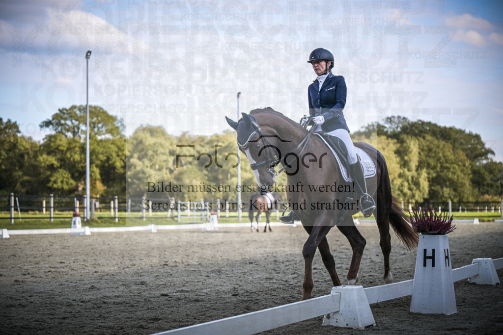 DOS_4877 | Entdecke hochwertige Reitturnierfotos von Foto Oger. Professionell, emotional und authentisch – jetzt Lieblingsmomente im Shop bestellen.Deutschlandweite Turnierfotografie. - Realisiert mit Pictrs.com