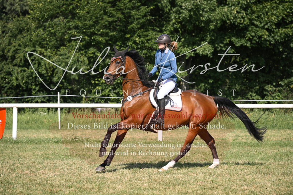 DSC_1140 | Pferde- und Turnierfotografie in Westsachsen. Pferdeportraits, Auftragszeichnungen und intuitive Kunst.