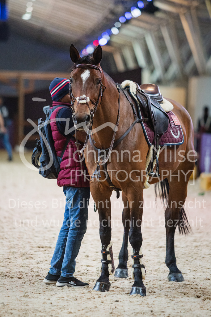 230215_Riyadh_WarmUp-203 | Deine schönsten Turniermomente als professionelle Fotos! Entdecke hochwertige Pferdesport-Fotografie im Online-Shop. Jetzt Fotos finden & bestellen!