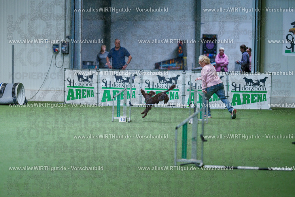 @allesWIRTHgut_Tierfotografie - www.allesWIRTHgut.de - 2604260804-7R506592 | Professionelle Tierfotografie in Mönchengladbach von Daniel Wirth (allesWIRTHgut). Liebevolle & natürliche Bilder von Hunden & Katzen für unvergessliche Erinnerungen.