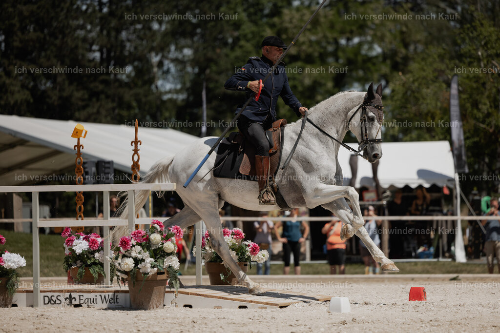 WE_SP_Stoib_327_PI2025_1926 | Pferd International München 2025