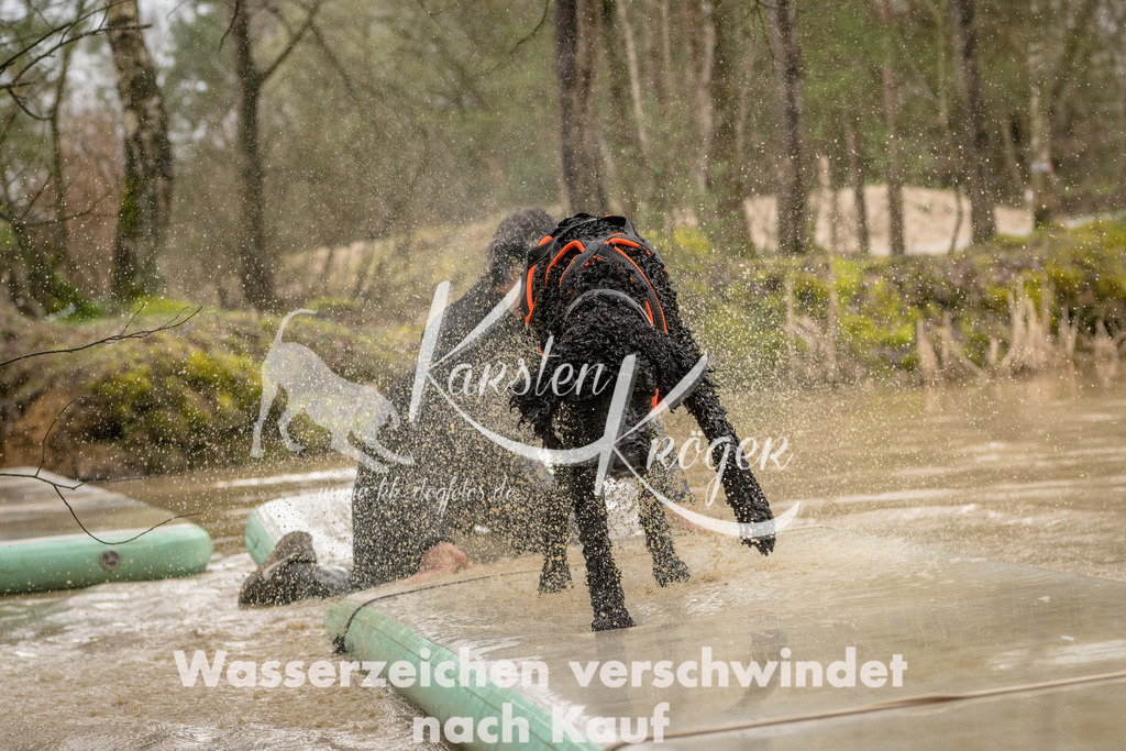 1347_ZZ90636-Bearbeitet | kk-dogfotos