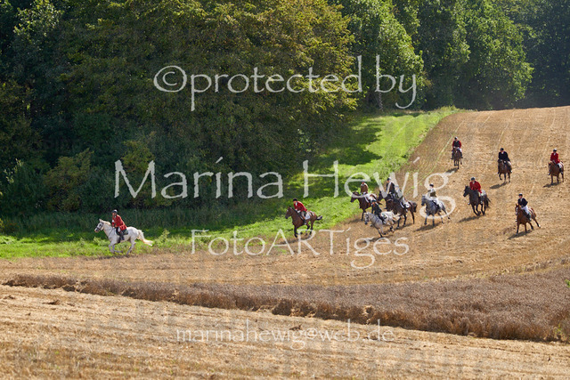 _MCH8203_Marina Hewig | Fotografie, FotoArt, PferdesportArt, Pferdesportfotografie, Landschaftsfotografie, Reisefotografie, Reise, Pferde - Realisiert mit Pictrs.com