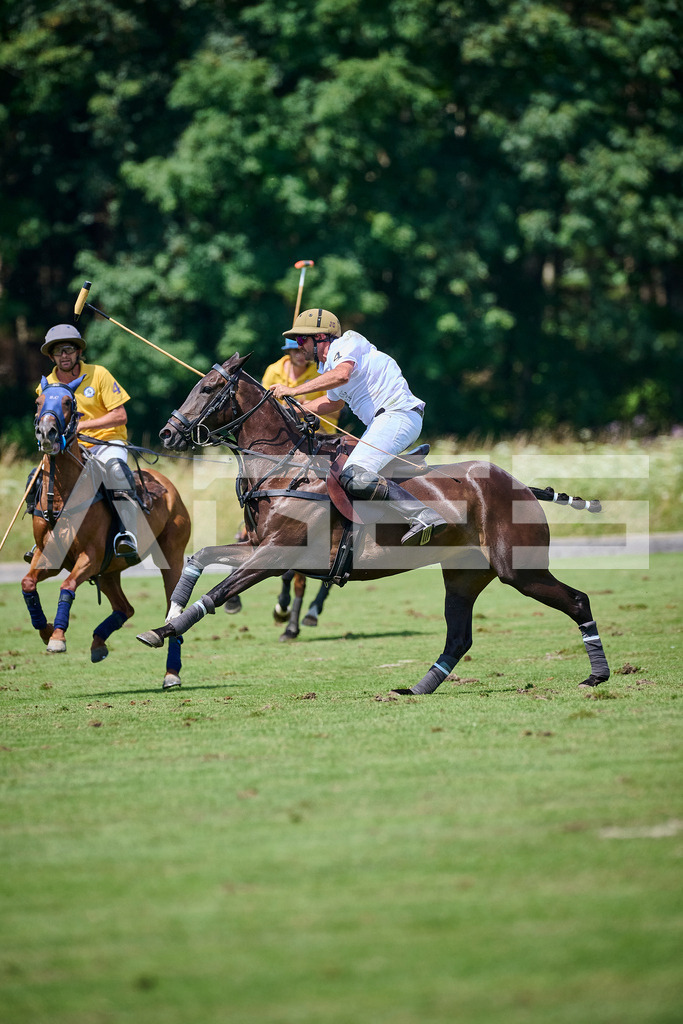 Polo_24_AGES_NZ9_5196 | Alexander Gerhardt