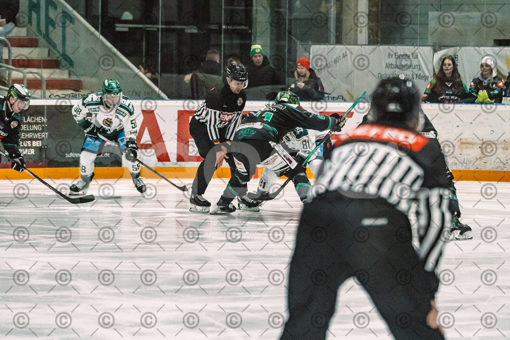 Alligators_vs_Erding_12_12_2025-039 | Höchstadt Alligators Fotogalerie: Eishockey-Action aus Franken. Professionelle Spielfotos, Portraits & Stadionbilder zum Download. Jetzt entdecken! - Realisiert mit Pictrs.com