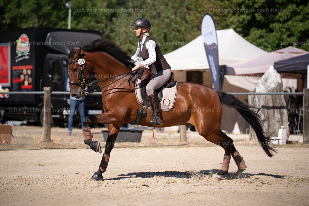 WL_SP_106_Stoibphotography_SO15946 | working equitationturnier fotograf videograf stoibphotography marixx film working equitation deutschland reitsport turnierfotografie eventfotografie equestrian events