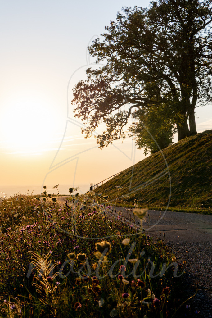 Spätsommer in Randegg | Ihre Fotografin im Lungau, ihre Fotografin im Mostviertel, Wandbilder Onlineshop, Imagefotos für Ihr Unternehmen,  - Realisiert mit Pictrs.com
