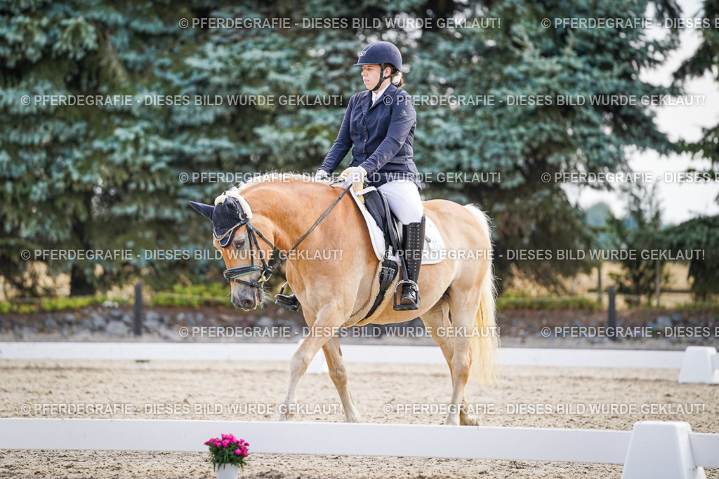 DSC00666 | Pferdegrafie