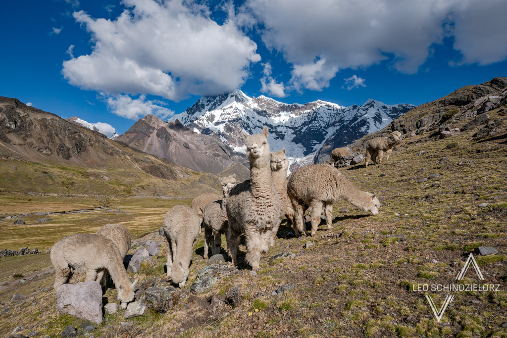 00_Fotografie_Leo_Schindzielorz_PER_Ausangate_20240528__A650144_org | Atmosphärische Landschaftsbilder & Drohnenaufnahmen aus dem Allgäu, Tirol, Südtirol & der Schweiz – ideal für Leinwanddrucke & zur stilvollen Raumgestaltung. - Realisiert mit Pictrs.com