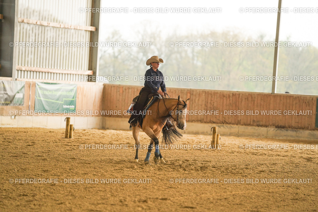 DSC09569 | Pferdegrafie