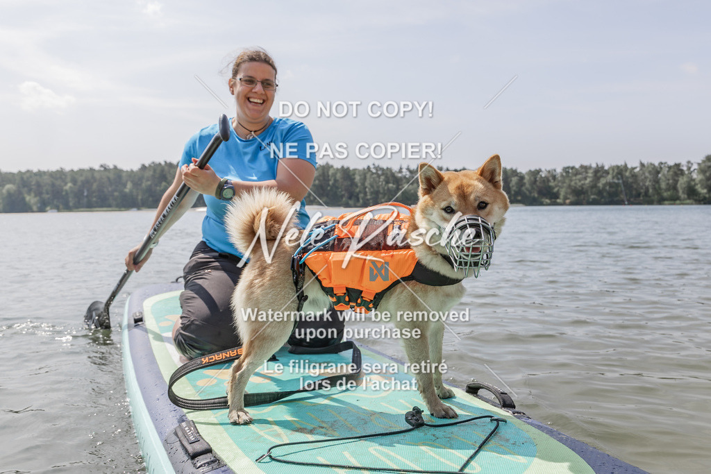 BUHU_SUP_638 | nelerasche