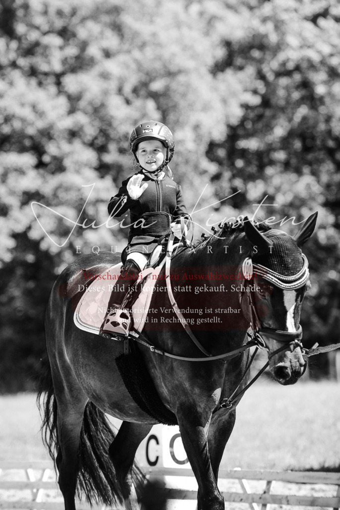 DSC_2139 | Pferde- und Turnierfotografie in Westsachsen. Pferdeportraits, Auftragszeichnungen und intuitive Kunst.