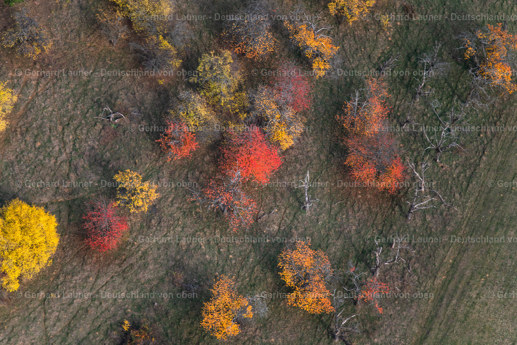 3808231 | Herbstliche Bäume bei Rödlas