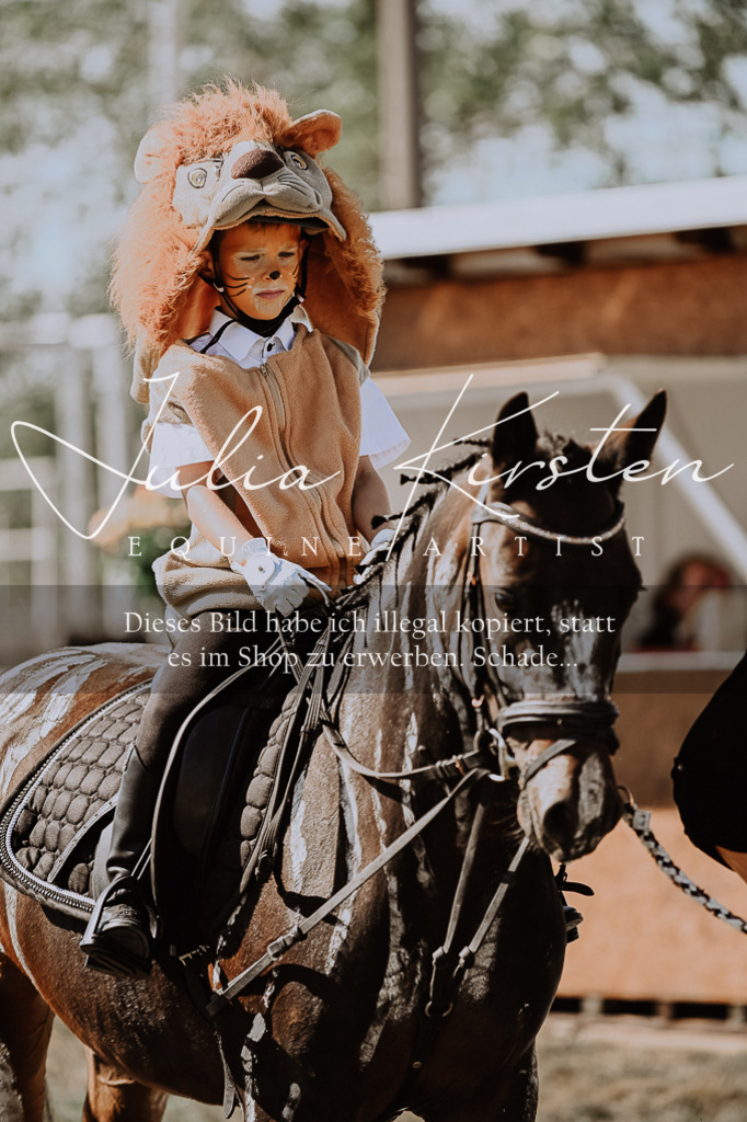 DSC_9109 | Pferde- und Turnierfotografie in Westsachsen. Pferdeportraits, Auftragszeichnungen und intuitive Kunst.