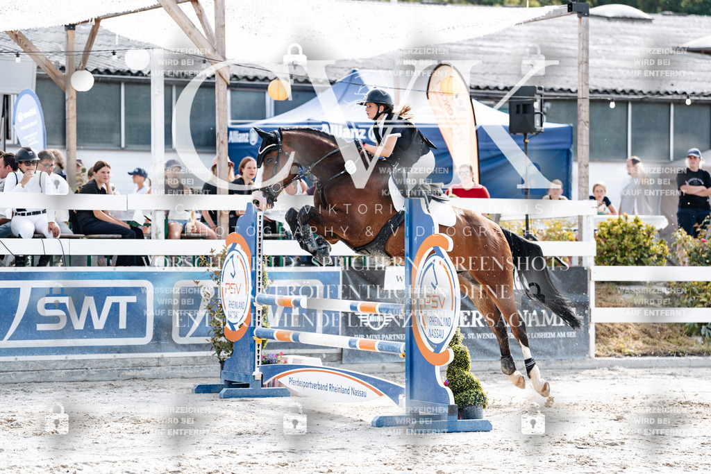 CK905785 | Turnierfotografie Pferdefotografie Trier Rheinland-Pfalz Pferdesport Reitsport Tierfotografie Sportfotografie Pferdevideo Pferdevideografie Equestrianvideography equestrianphotography  - Realisiert mit Pictrs.com