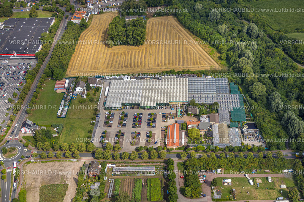 Hamm250700420Heessen | Luftbild, Gartencenter Bintig am Sachsenring mit Parkplatz, Stadtbezirk Heessen, Hamm, Ruhrgebiet, Nordrhein-Westfalen, Deutschland