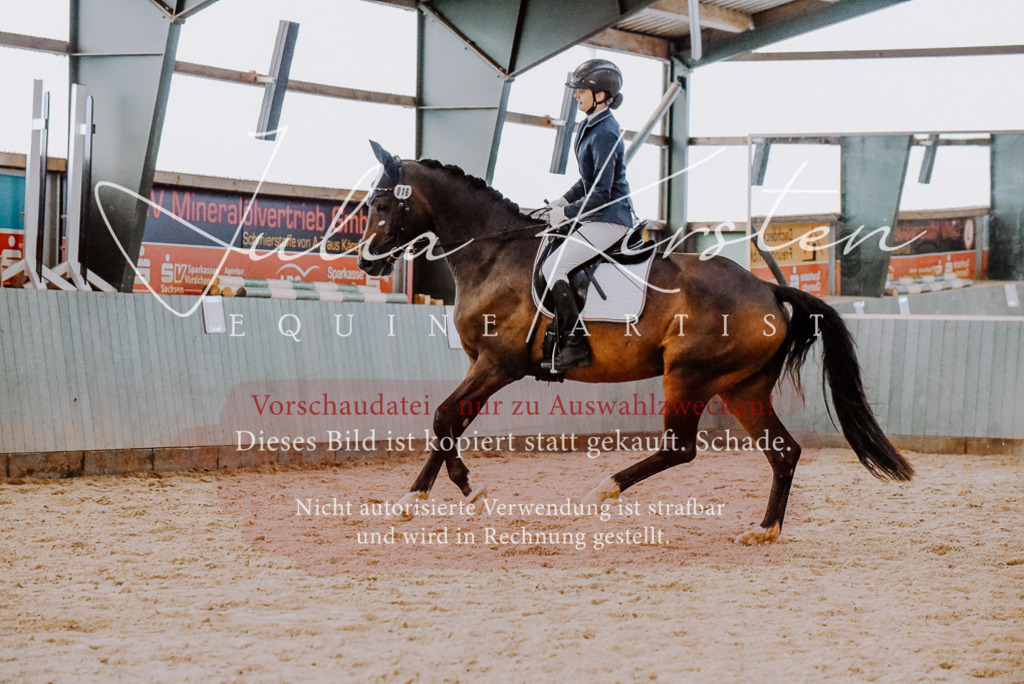 DSC_7637 | Pferde- und Turnierfotografie in Westsachsen. Pferdeportraits, Auftragszeichnungen und intuitive Kunst.