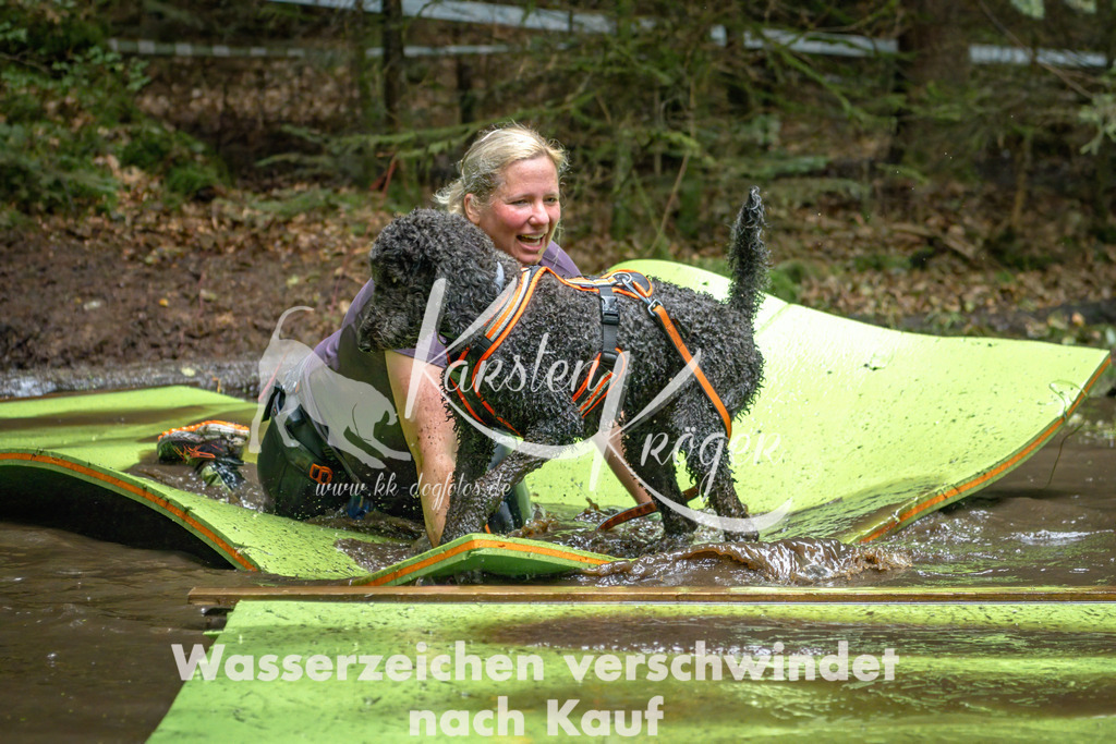 1537_ZZ91422-Bearbeitet | kk-dogfotos