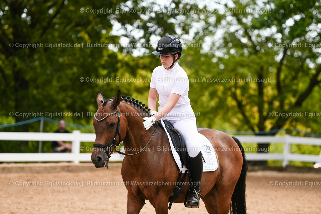 20230715_05_Dressurprüfung Kl.A++_0053 | equistock
