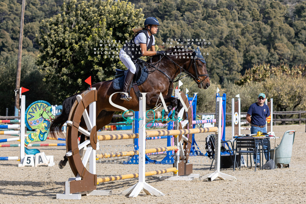 IMG_0581 | s-jay-photography - Realisiert mit Pictrs.com