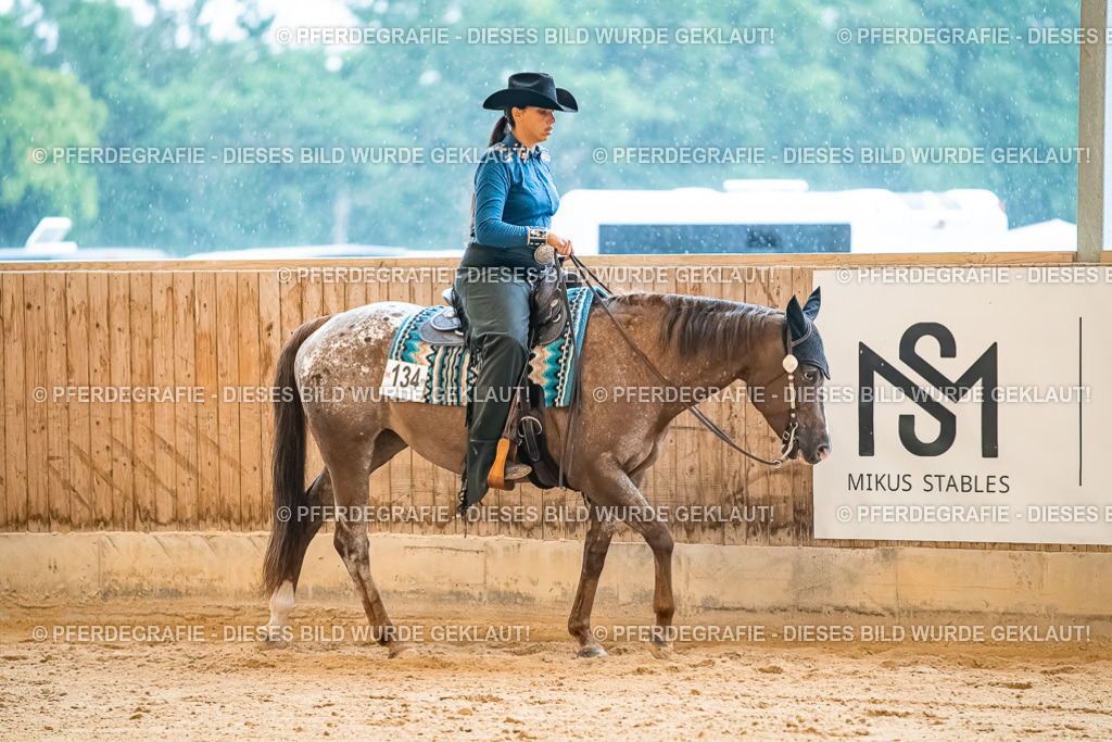 DSC00143 | Pferdegrafie