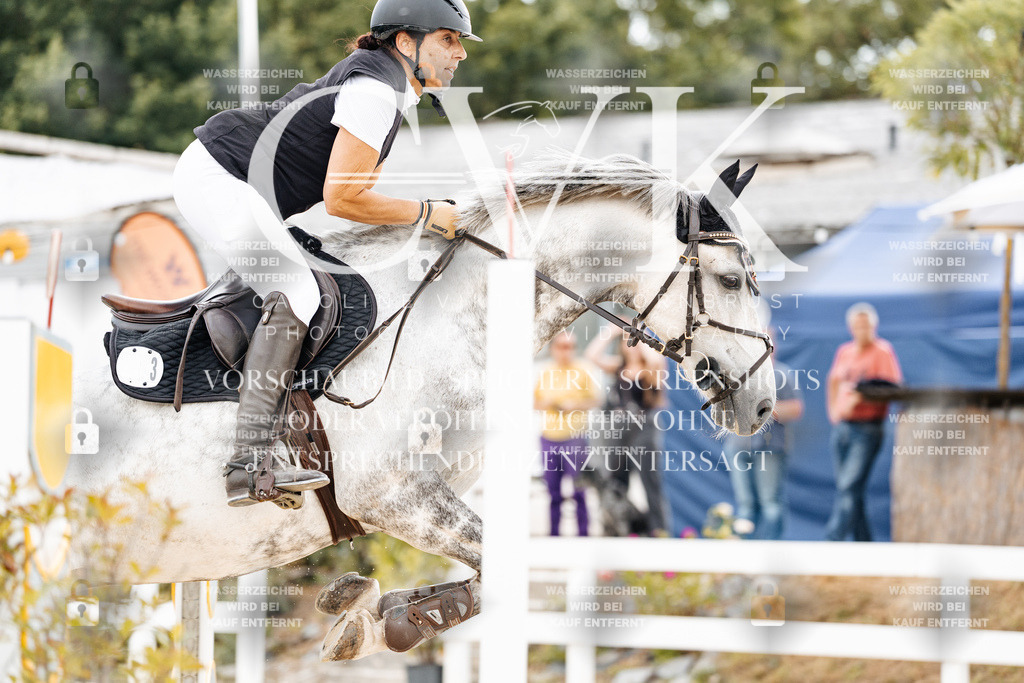 CK902635 | Turnierfotografie Pferdefotografie Trier Rheinland-Pfalz Pferdesport Reitsport Tierfotografie Sportfotografie Pferdevideo Pferdevideografie Equestrianvideography equestrianphotography  - Realisiert mit Pictrs.com