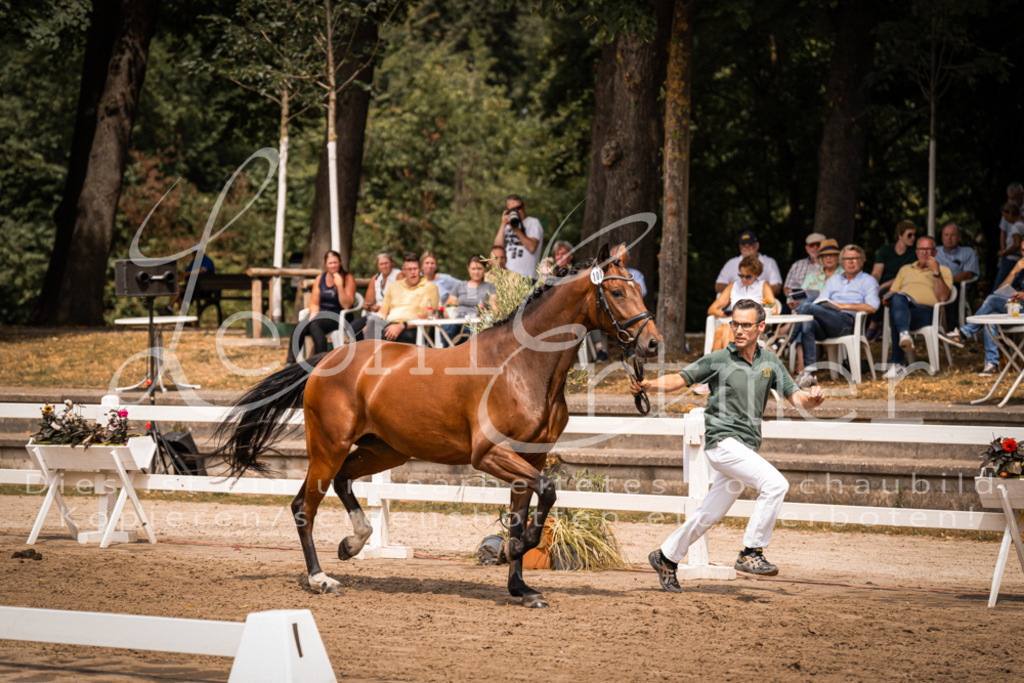 2. Fr00071 | Leoni Ertmer Photography - Realisiert mit Pictrs.com