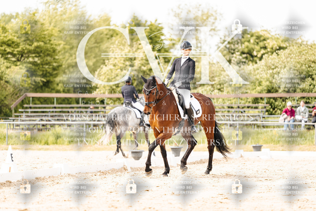 CK901492 | Turnierfotografie Pferdefotografie Trier Rheinland-Pfalz Pferdesport Reitsport Tierfotografie Sportfotografie Pferdevideo Pferdevideografie Equestrianvideography equestrianphotography  - Realisiert mit Pictrs.com