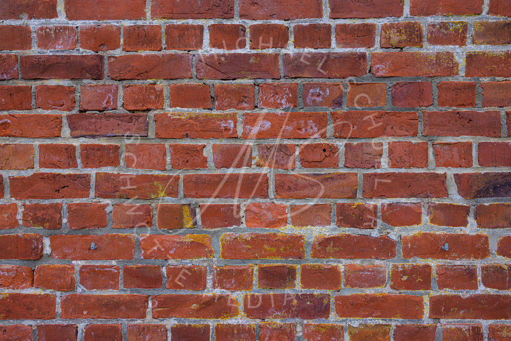 2025-07-24 Tetenbuell Hafen 003 | Schwotte Media - Realisiert mit Pictrs.com