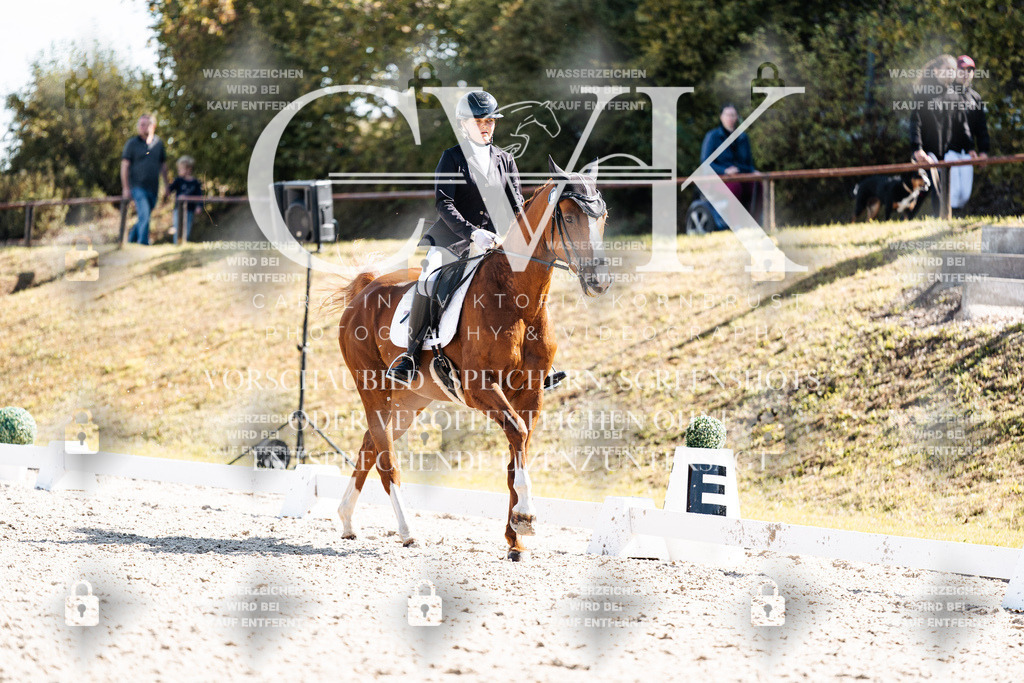 CK902858 | Turnierfotografie Pferdefotografie Trier Rheinland-Pfalz Pferdesport Reitsport Tierfotografie Sportfotografie Pferdevideo Pferdevideografie Equestrianvideography equestrianphotography  - Realisiert mit Pictrs.com