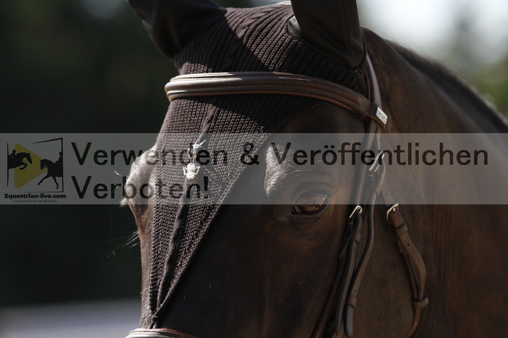 _MG_5298 | equestrian-live-com