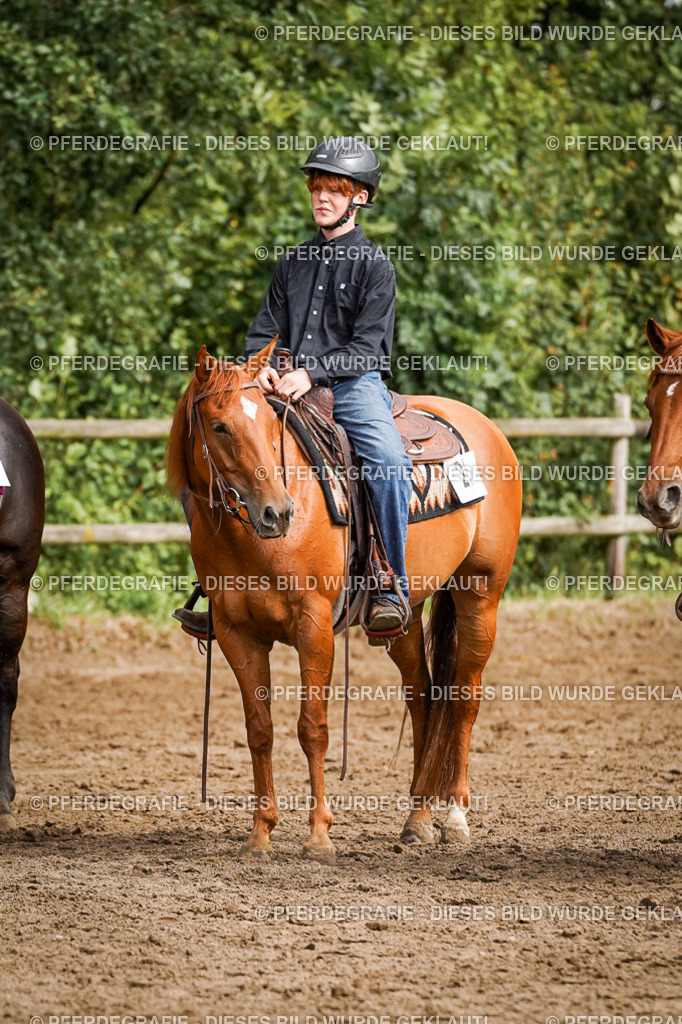 DSC09221 | Pferdegrafie