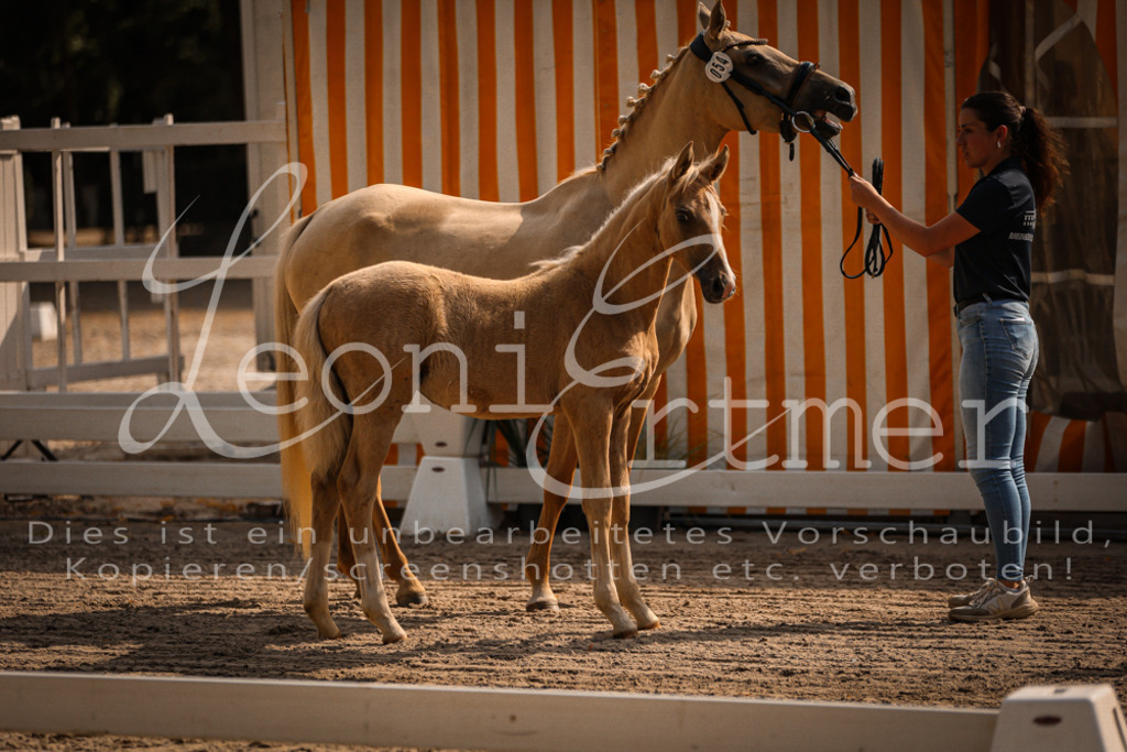 10.DoRP00002 | Leoni Ertmer Photography - Realisiert mit Pictrs.com