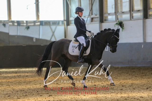 IMG_2830 | Turniersportfotografie; Pferdefotografie; Dressurfotografie