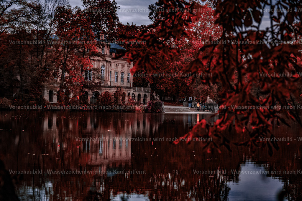 DSC06092 | marcuslinek