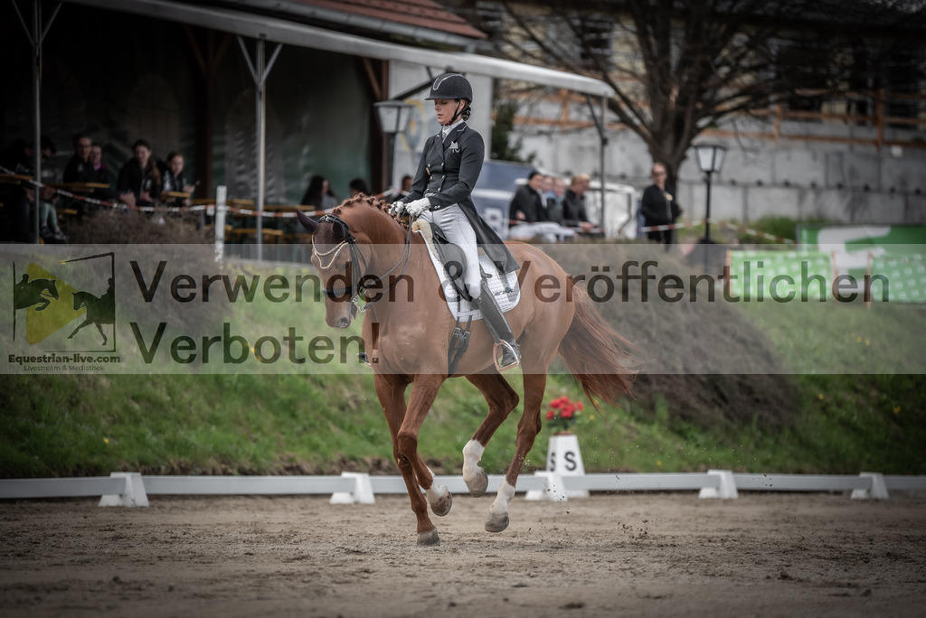 DSC_3105 | equestrian-live-com