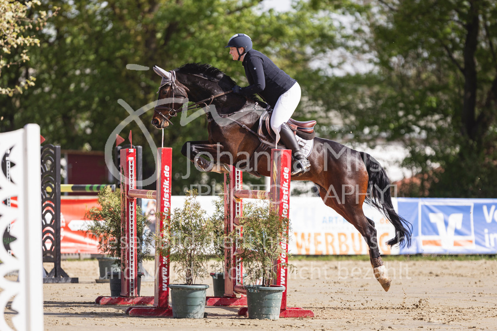 260503_Spenge_7_M2-Spr-m-steig-Anf-724 | Deine schönsten Turniermomente als professionelle Fotos! Entdecke hochwertige Pferdesport-Fotografie im Online-Shop. Jetzt Fotos finden & bestellen!