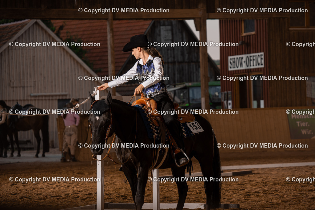 NE101397 | dv-media-shop - Realisiert mit Pictrs.com