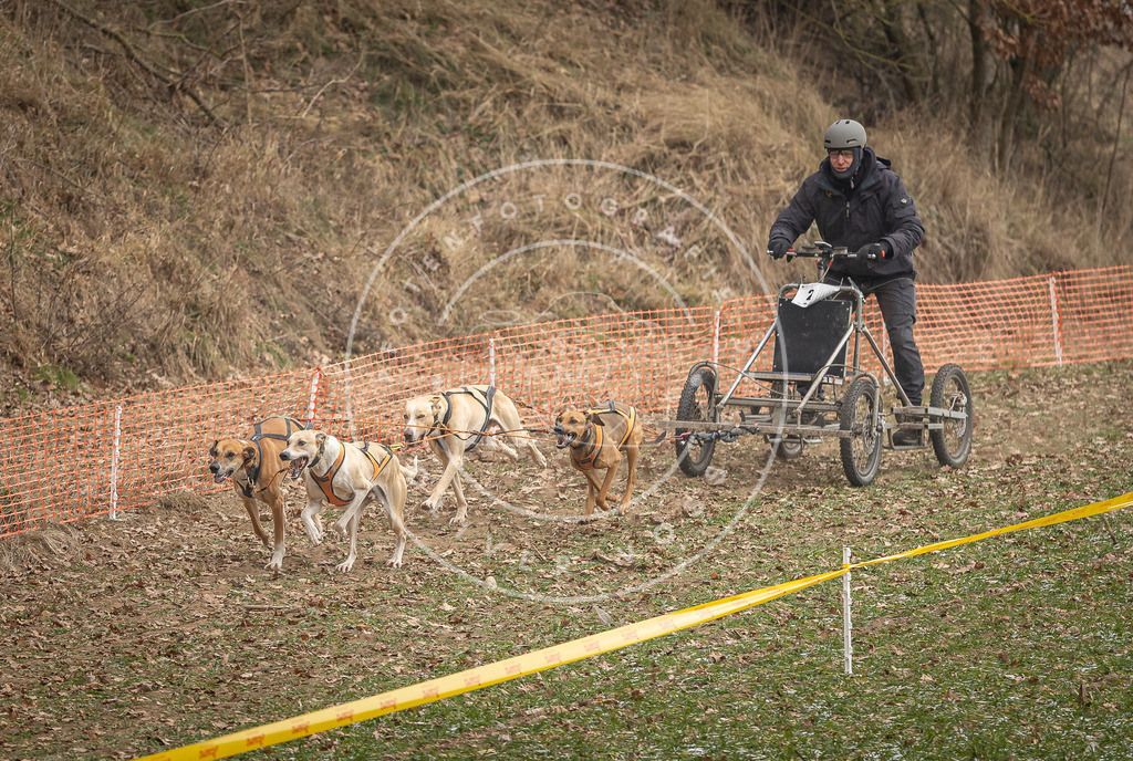 Pfotenfotografie_DV3A8054 | Hundefotografie, Tierfotograf, Pfotenfotografie, Fotoshooting Hund, Hunde Portrait, Hundesport, Hundeportraits, Heideshooting, Hunde, Sportfotograf, Hundefotograf, Turnierhundsport, THS,  - Realisiert mit Pictrs.com