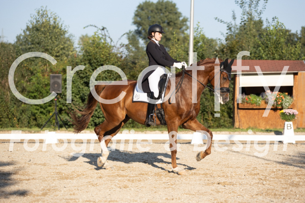 IMG_1341 | Creatify Fotografie