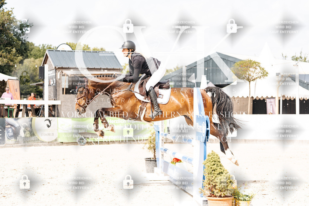 CK909067 | Turnierfotografie Pferdefotografie Trier Rheinland-Pfalz Pferdesport Reitsport Tierfotografie Sportfotografie Pferdevideo Pferdevideografie Equestrianvideography equestrianphotography  - Realisiert mit Pictrs.com