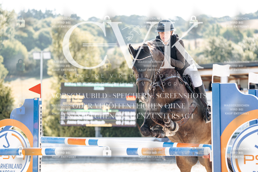 CK902162 | Turnierfotografie Pferdefotografie Trier Rheinland-Pfalz Pferdesport Reitsport Tierfotografie Sportfotografie Pferdevideo Pferdevideografie Equestrianvideography equestrianphotography  - Realisiert mit Pictrs.com