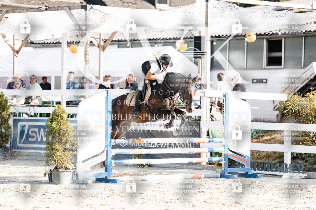 CK909517 | Turnierfotografie Pferdefotografie Trier Rheinland-Pfalz Pferdesport Reitsport Tierfotografie Sportfotografie Pferdevideo Pferdevideografie Equestrianvideography equestrianphotography  - Realisiert mit Pictrs.com