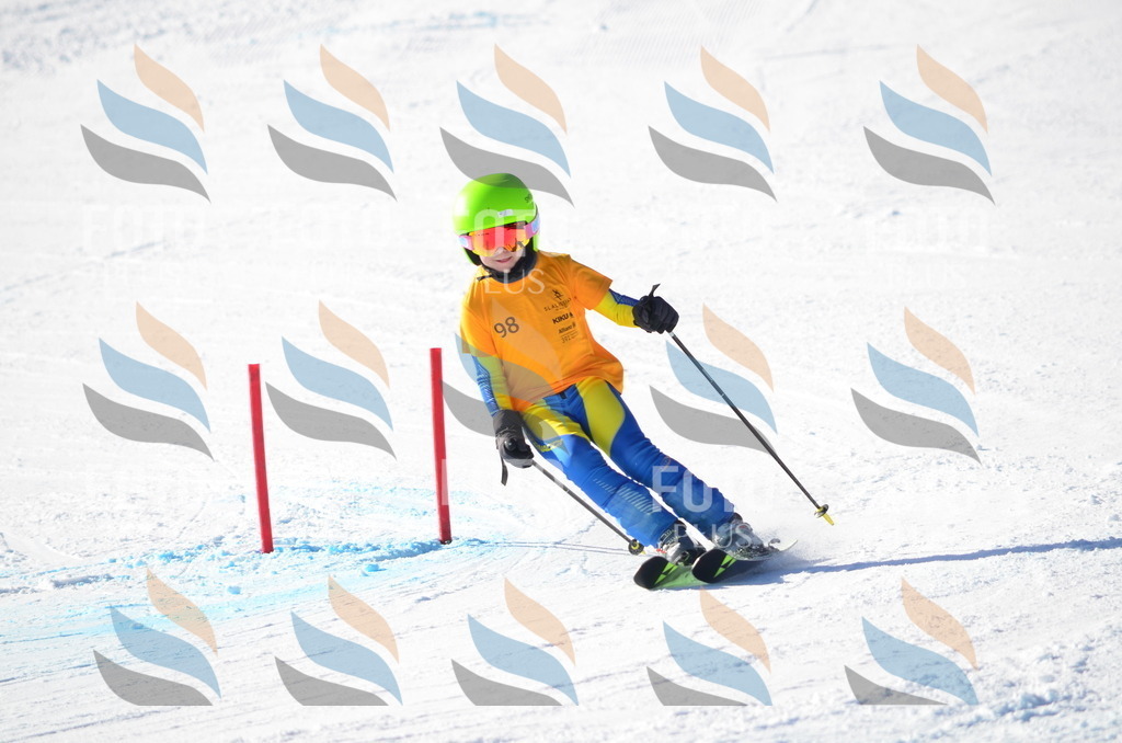 C6157 | holidayphoto