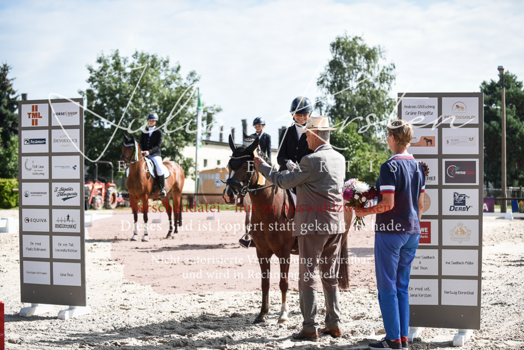 DSC_8732 | Pferde- und Turnierfotografie in Westsachsen. Pferdeportraits, Auftragszeichnungen und intuitive Kunst.