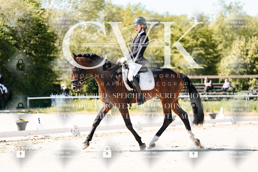 CK904914 | Turnierfotografie Pferdefotografie Trier Rheinland-Pfalz Pferdesport Reitsport Tierfotografie Sportfotografie Pferdevideo Pferdevideografie Equestrianvideography equestrianphotography  - Realisiert mit Pictrs.com