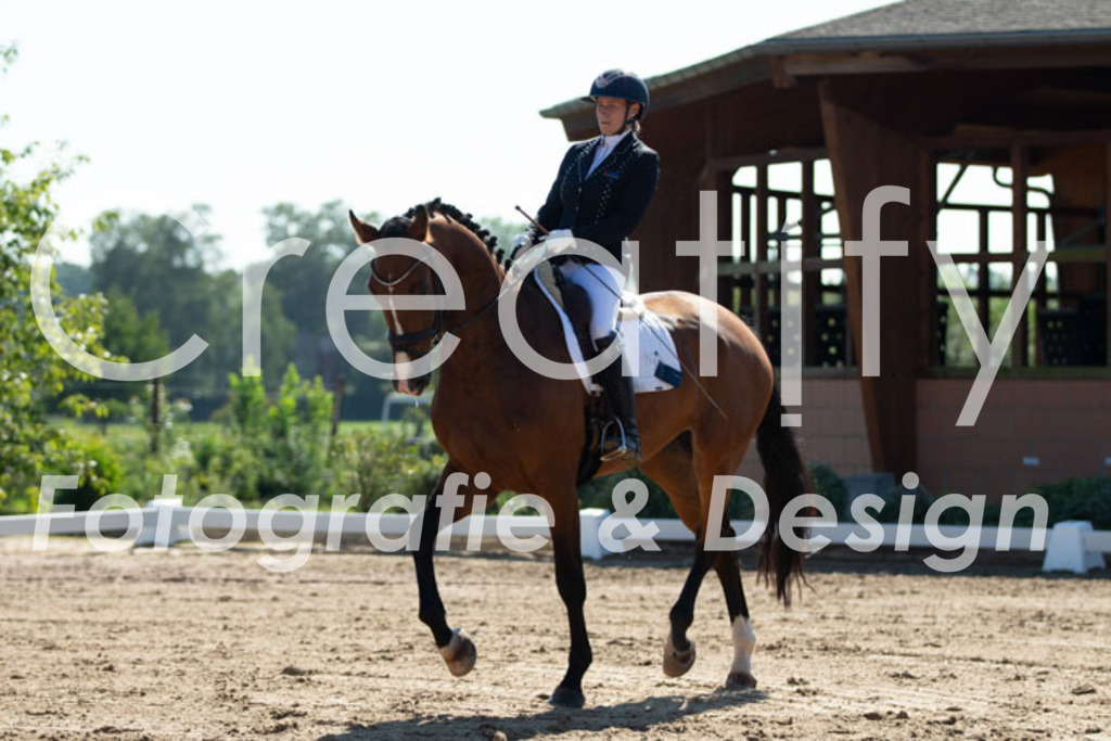 IMG_3353 | Creatify Fotografie